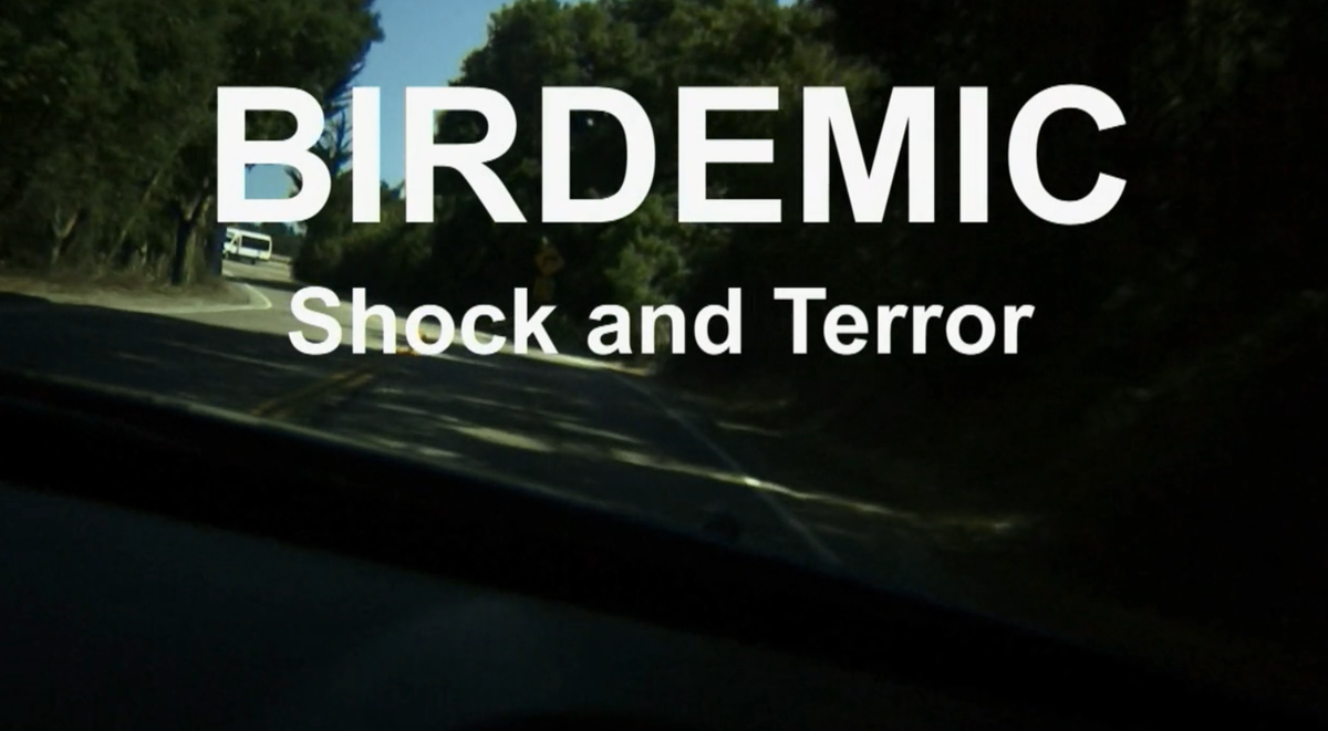 Driving & Parking - BIRDEMIC: SHOCK AND TERROR (2006)